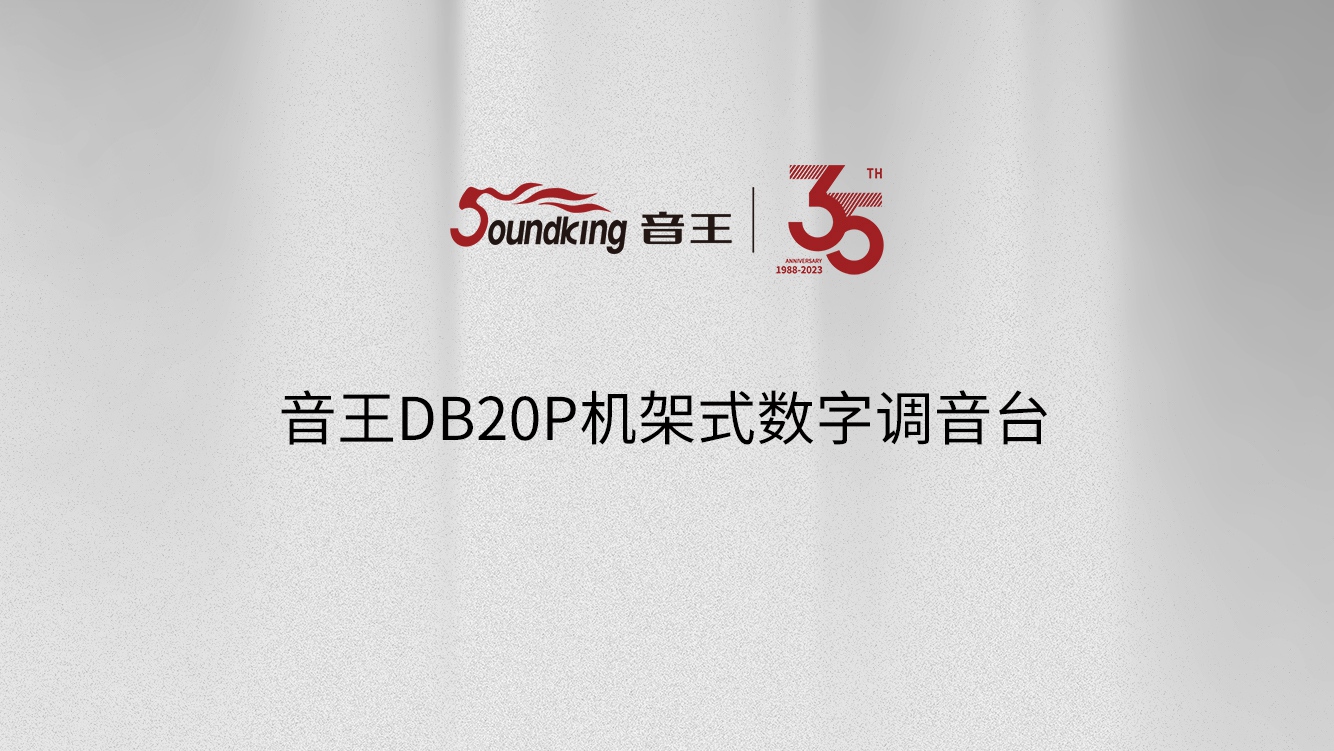 音王DB20P機架式數字調音臺 音王DB20P機架式數字調音臺